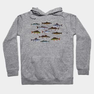 European Fishes Hoodie